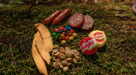 Translation missing: en.An assortment of meats, nuts, and candies on forest floor